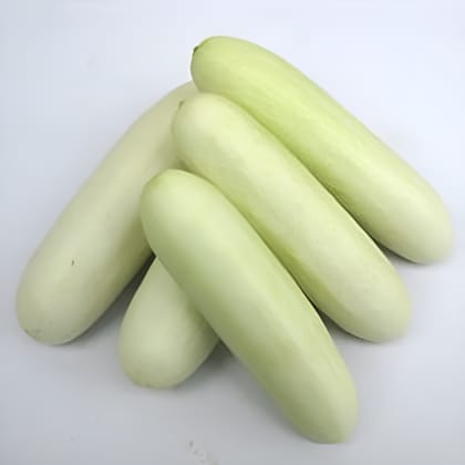 CUCUMBER INDAM SNOW WHITE - 25 SEEDS