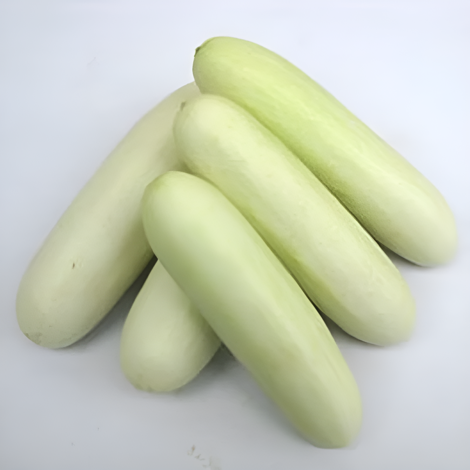 CUCUMBER INDAM SNOW WHITE - 25 SEEDS