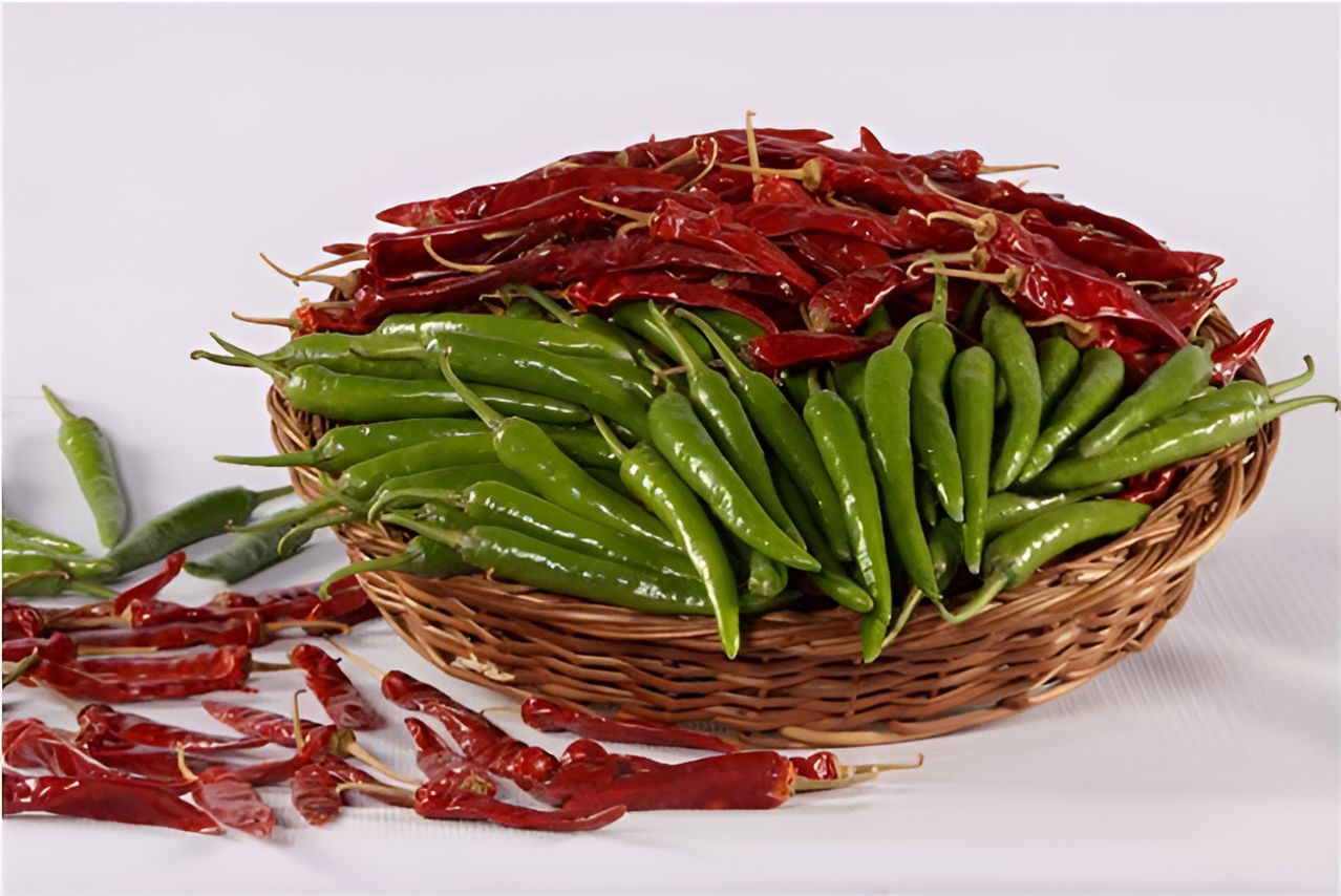 CHILLI INDAM-5 HYBRID SEEDS - 50 seeds