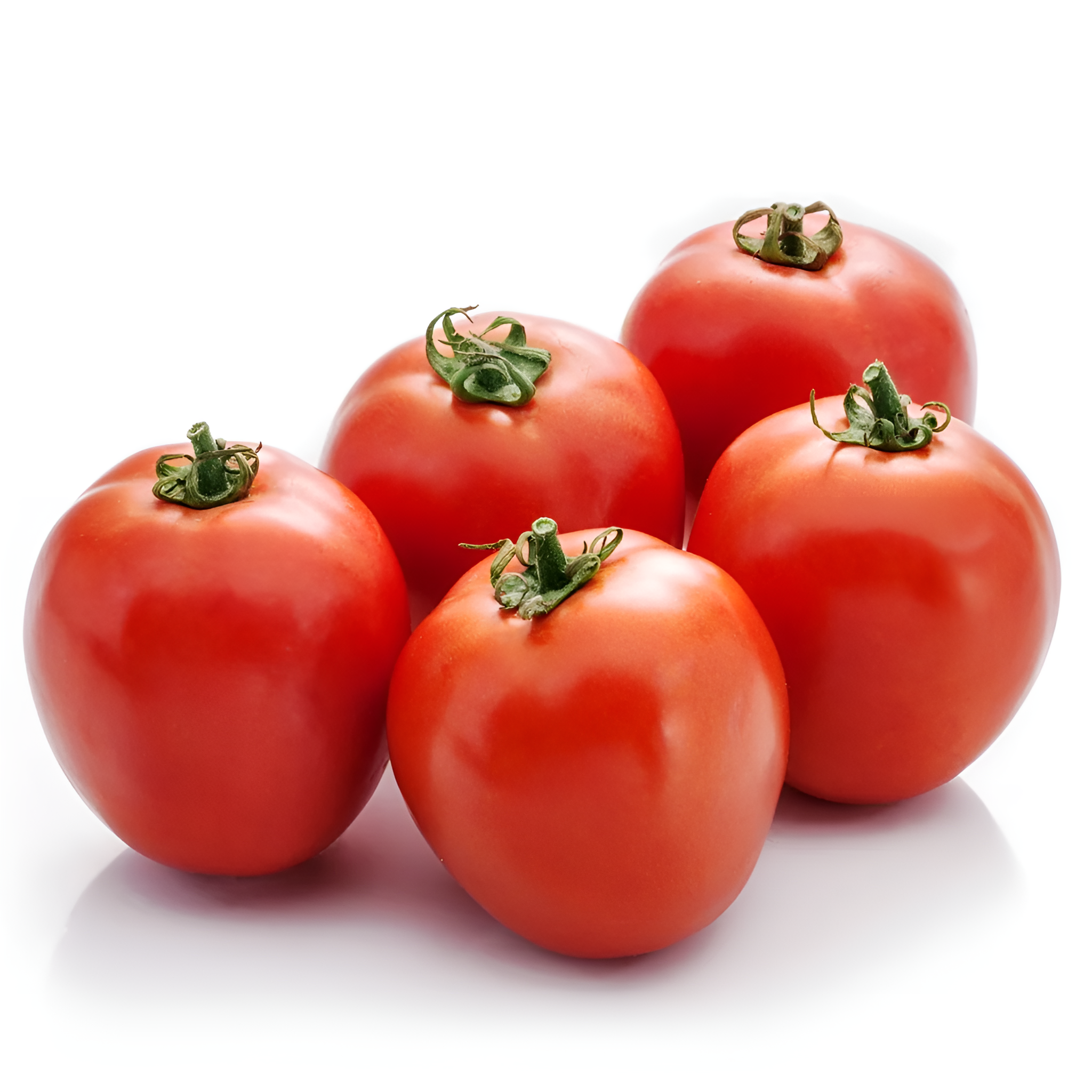 TOMATO INDAM 13201 HYBRID SEEDS -50 seeds