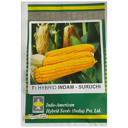 SweetCorn Indam Suruchi Hybrid Seeds - 25 SEEDS
