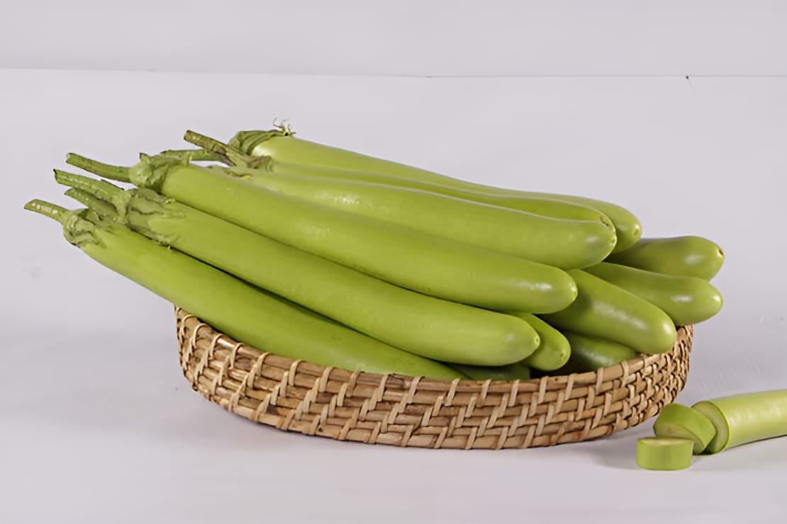 BRINJAL INDAM HYBRID GREEN SEEDS - 50 SEEDS