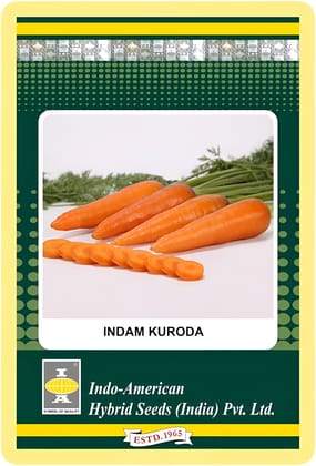 Carrot Indam  Kuroda OP Seeds - 100 SEEDS