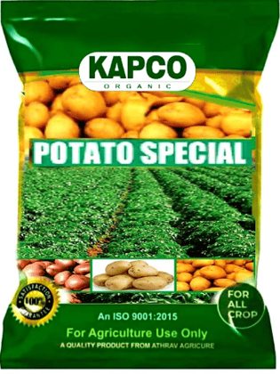 Kapco Potato Special