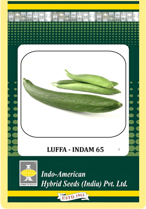 LUFFA - INDAM 65 HYBRID 25 SEEDS