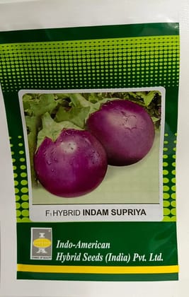 Brinjal Supriya [ Round - 14] [HY 50 seeds