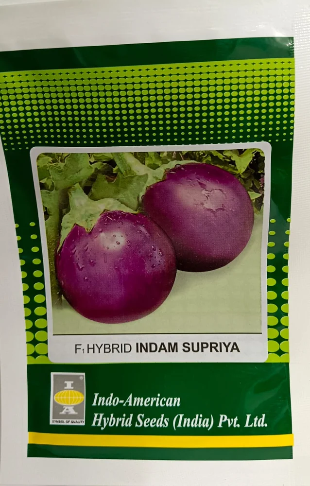 Brinjal Supriya [ Round - 14] [HY 50 seeds