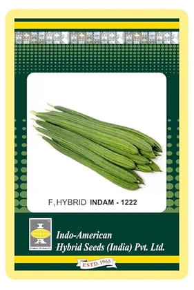 Ridgegourd Indam - 1222 [HY] - 20 SEEDS