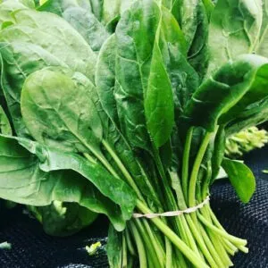 SPINACH INDAM KOLKATA [OP] - 100 SEEDS