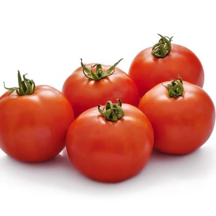 TOMATO INDAM 14301 [HY] - 50 SEEDS