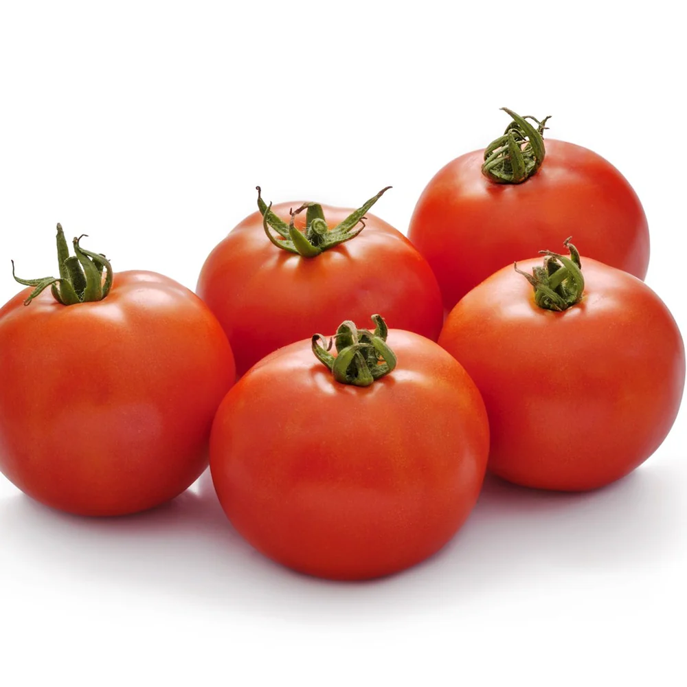 TOMATO INDAM 14301 [HY] - 50 SEEDS