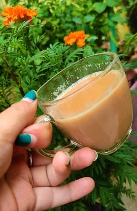 BLINKMAX Transparent Square Shape Tea Cup Coffee Cup Set of 6 Made of Crystal Clear Glass 155 ml