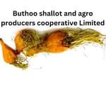Buthoo Shallot and Agro Producers coperative limited Buthoo Shallot and Agro Producers coperative limited