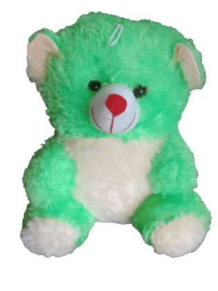 Cute and Soft Green Teddy Bear Plushie Toy for Kids Cute and Soft Green Teddy Bear Plushie Toy for Kids