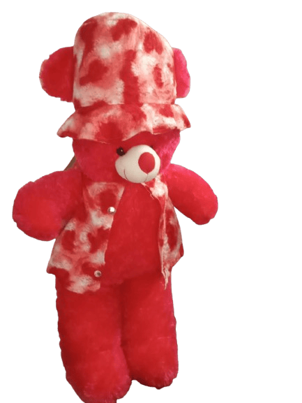 Red Teddy Bear with Printed Shirt and Cap