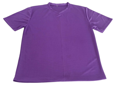 Unisex V-Neck T-Shirt in Purple Unisex V-Neck T-Shirt in Purple