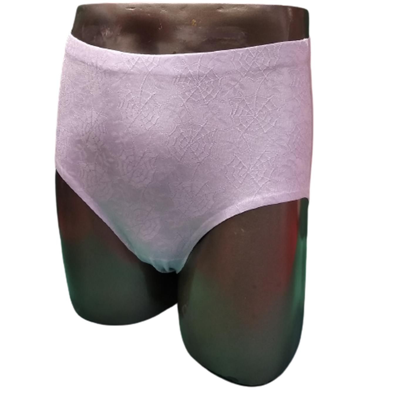 P8021 SEAMLESS LIGHT CONTROL FULL BRIEF PANTY