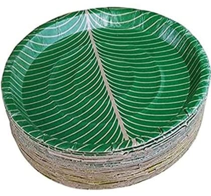 Disposable Plates for Parties and Events
