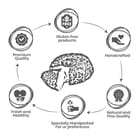 ... ...
