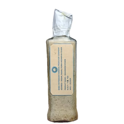 Paddy Straw Mashroom Spawn