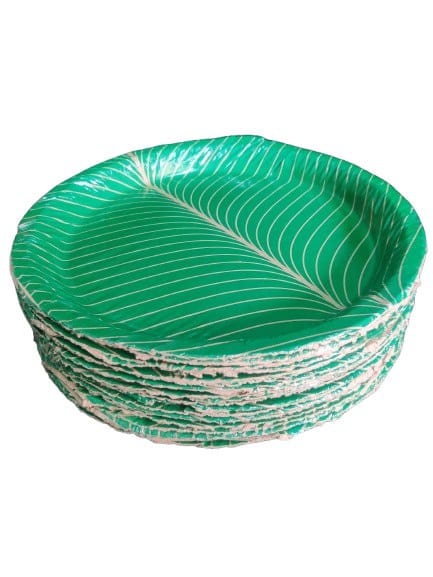 Disposable Paper Plates | 12 Inches | Pack of 50