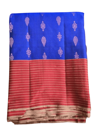 Blue and Red Striped Saree with Floral Brocade
