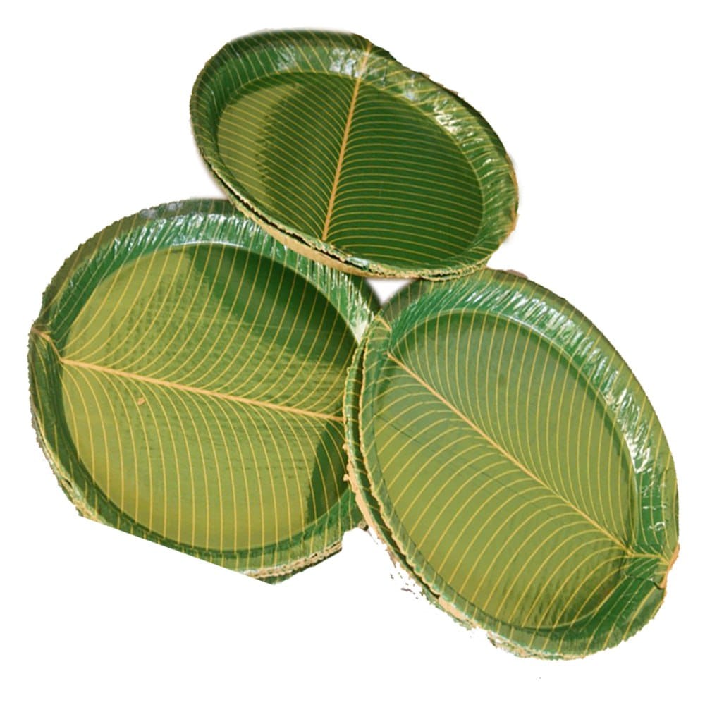  100% Natural Areca Leaf Plates | Disposable and Biodegradable | Eco-Friendly Dinnerware | 8 Inches | Pack of 25