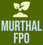 MURTHAL FPO MURTHAL FPO