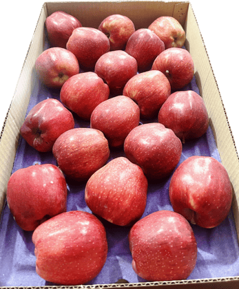 "Fresh, Hand-Picked Apples - The Perfect Snack for Any Occasion" "Fresh, Hand-Picked Apples - The Perfect Snack for Any Occasion"