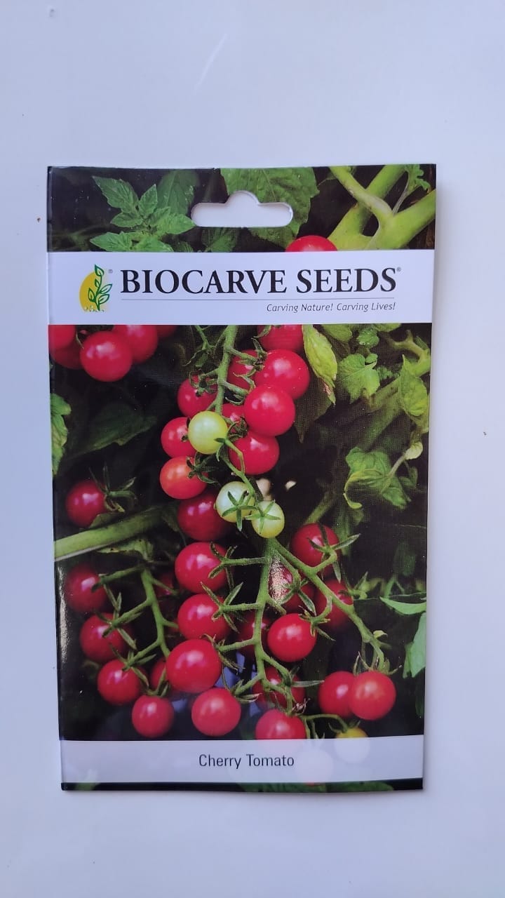 BIOCARVE SEEDS - TOMATO CHERRY