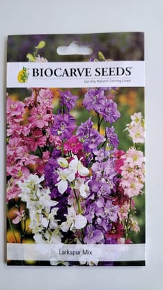 Biocarve Larkspur (Delphinium) - Pack of 200 Seeds