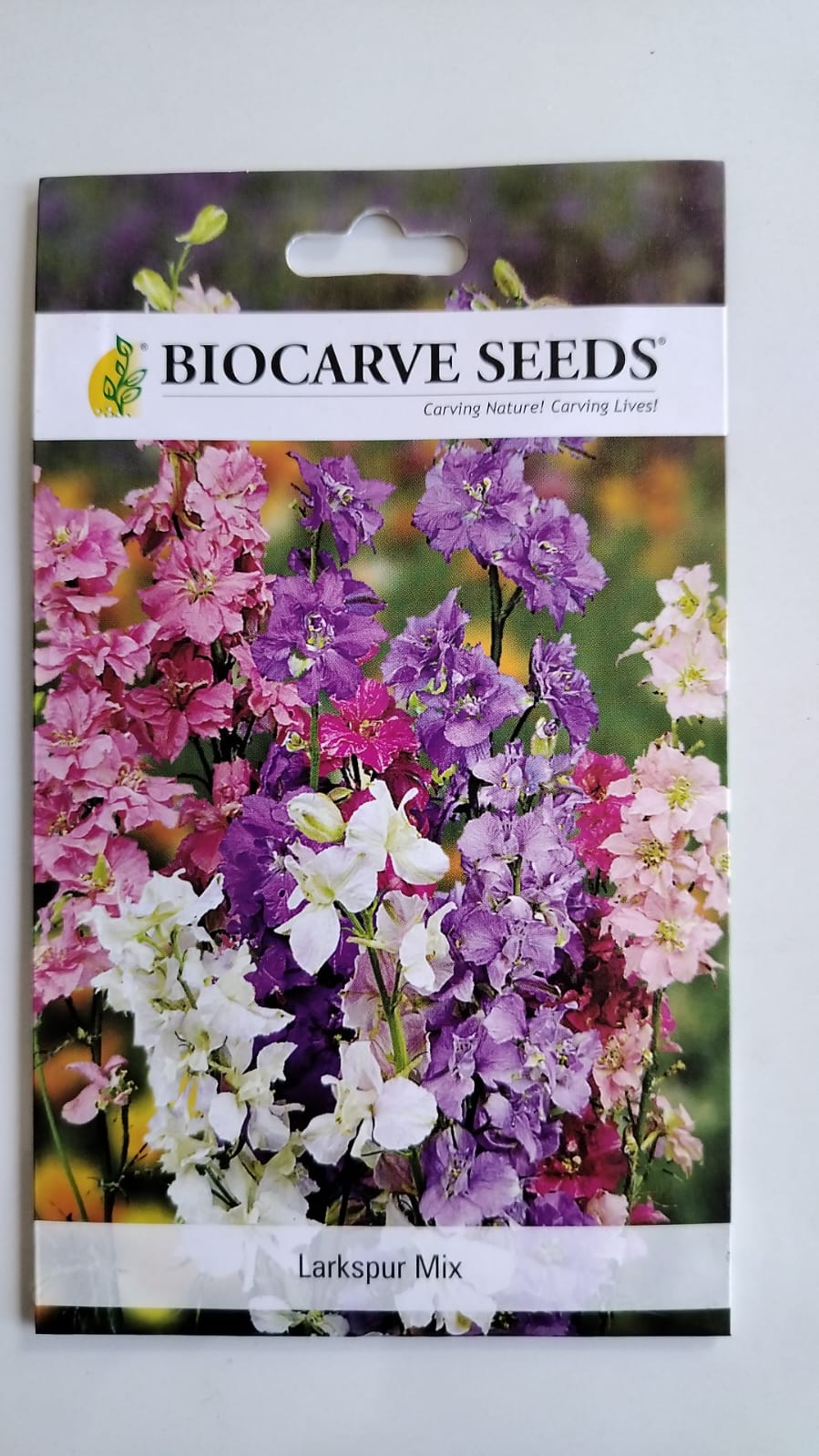 Biocarve Larkspur (Delphinium) - Pack of 200 Seeds