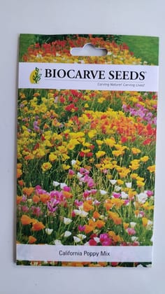 Biocarve California Poppy - Pack of 300 Seeds