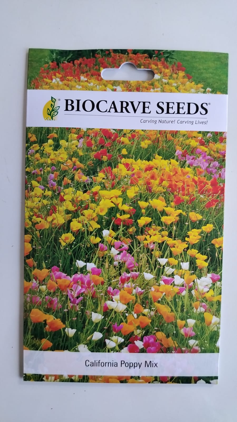 Biocarve California Poppy - Pack of 300 Seeds