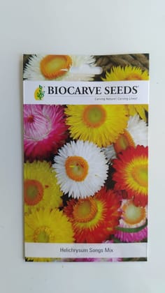 Biocarve - Helichrysum Songs Mix - Pack of 100 Seeds Biocarve - Helichrysum Songs Mix - Pack of 100 Seeds