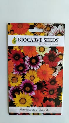 Biocarve Seeds Gazania splendens- Pack of 100 Seeds