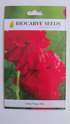 Biocarve Seeds Indian Poppy (Papaver Rhoeas) - Pack Of 200 Seeds Biocarve Seeds Indian Poppy (Papaver Rhoeas) - Pack Of 200 Seeds