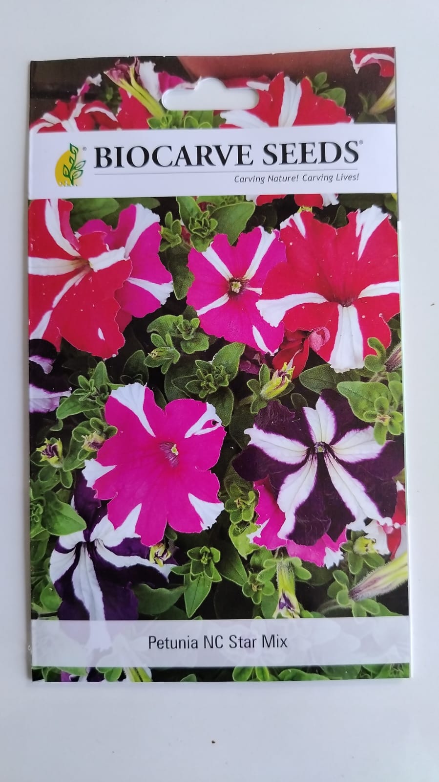 Biocarve Seeds Petunia N C Star Mix - Pack of 200 Seeds