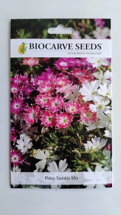 Biocarve Phlox Cuspidata Twinkle Mix- Pack of 200 Seeds