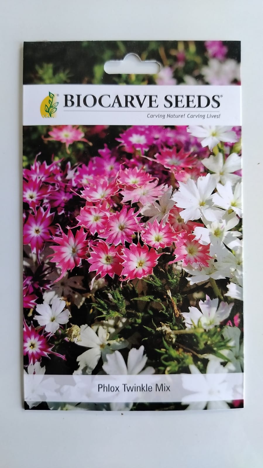 Biocarve Phlox Cuspidata Twinkle Mix- Pack of 200 Seeds