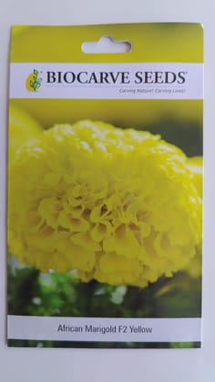Biocarve African  (Tagetes erecta) F2 Yellow- Pack of 50 Seeds