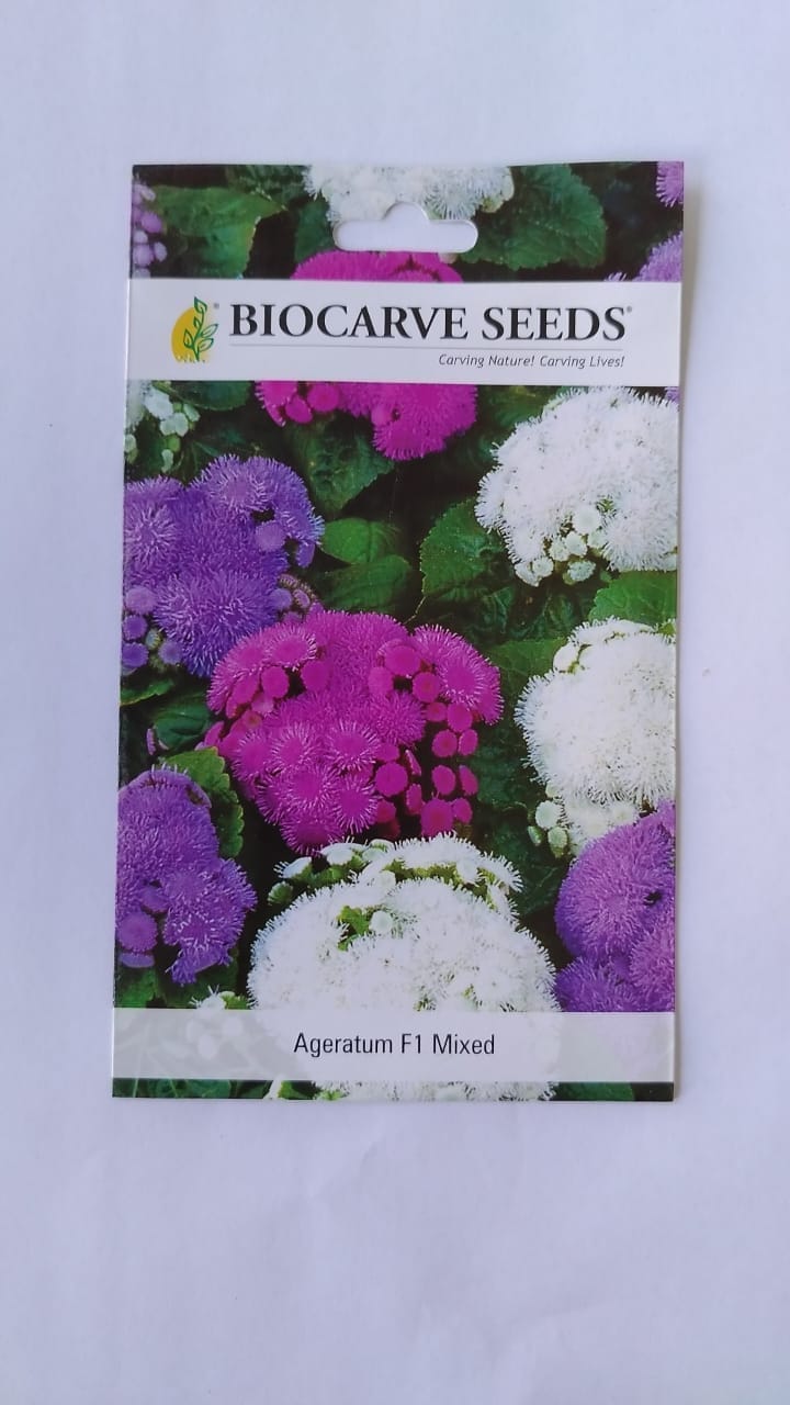 Biocarve Ageratum - Pack of 50 Seeds