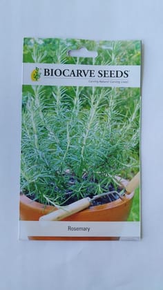 Biocarve Herb Rosemary - Pack of 50 Seeds