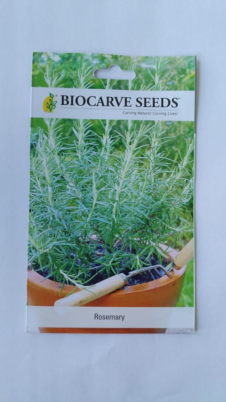 Biocarve Herb Rosemary - Pack of 50 Seeds