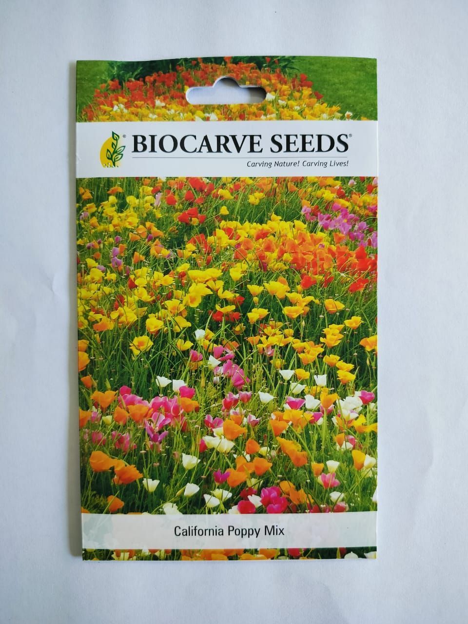 Biocarve Seeds - Flower seeds Direct Seed Sowing Winter Flowers-6 Packets( California Poppy Mix 300 Seeds, Indian Sherly Poppy 200 Seeds, Clarkia elegans Mix 200 Seeds, Larkspur Mix 200 Seeds, Namesia carnival 200 Seeds ,Iceland Poppy Mix 50 Seeds)