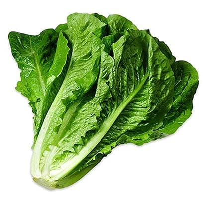 Biocarve Seeds Lettuce Romaine Seeds | Pack Of 1: 100 Seeds