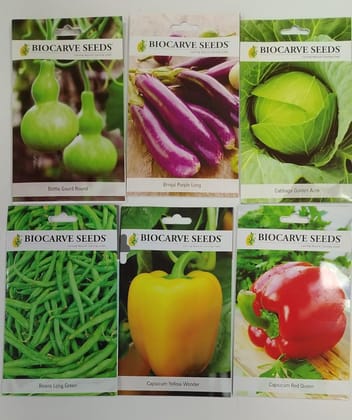 Biocarve Vegetable Kit-6Pkts (Capsicum yellow and Red, Beans, Chienese Cabbage, Brinjal Purple Long,and Loki (Bottle Gourd Round) Vegetable Seeds)