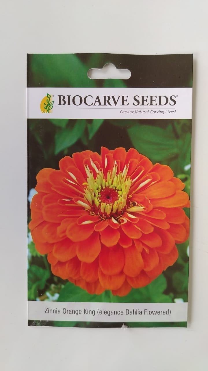 Biocarve Seeds Biocarve Zinnia Elegans Orange - Pack Of 100 Seeds