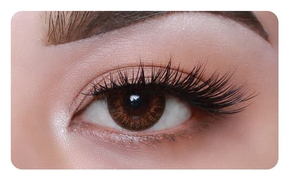 MD SPARKLE QUARTERLY BROWN COLOR CONTACT LENS WITH CASE AND 80ML SOLUTION (PACK OF 1 PAIR)