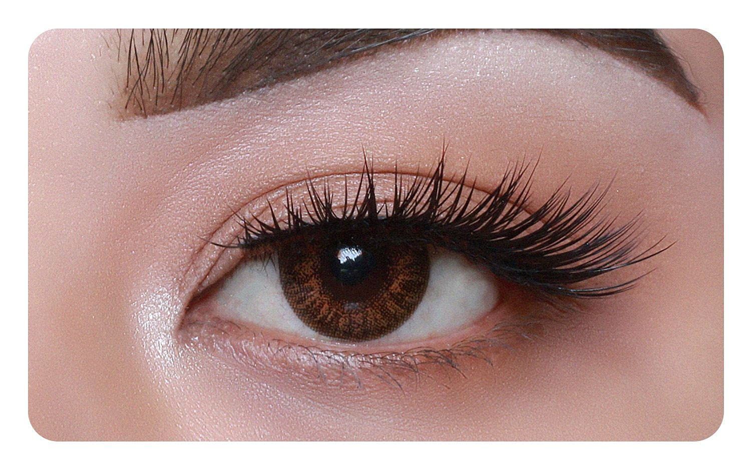 MD SPARKLE QUARTERLY BROWN COLOR CONTACT LENS WITH CASE AND 80ML SOLUTION (PACK OF 1 PAIR)